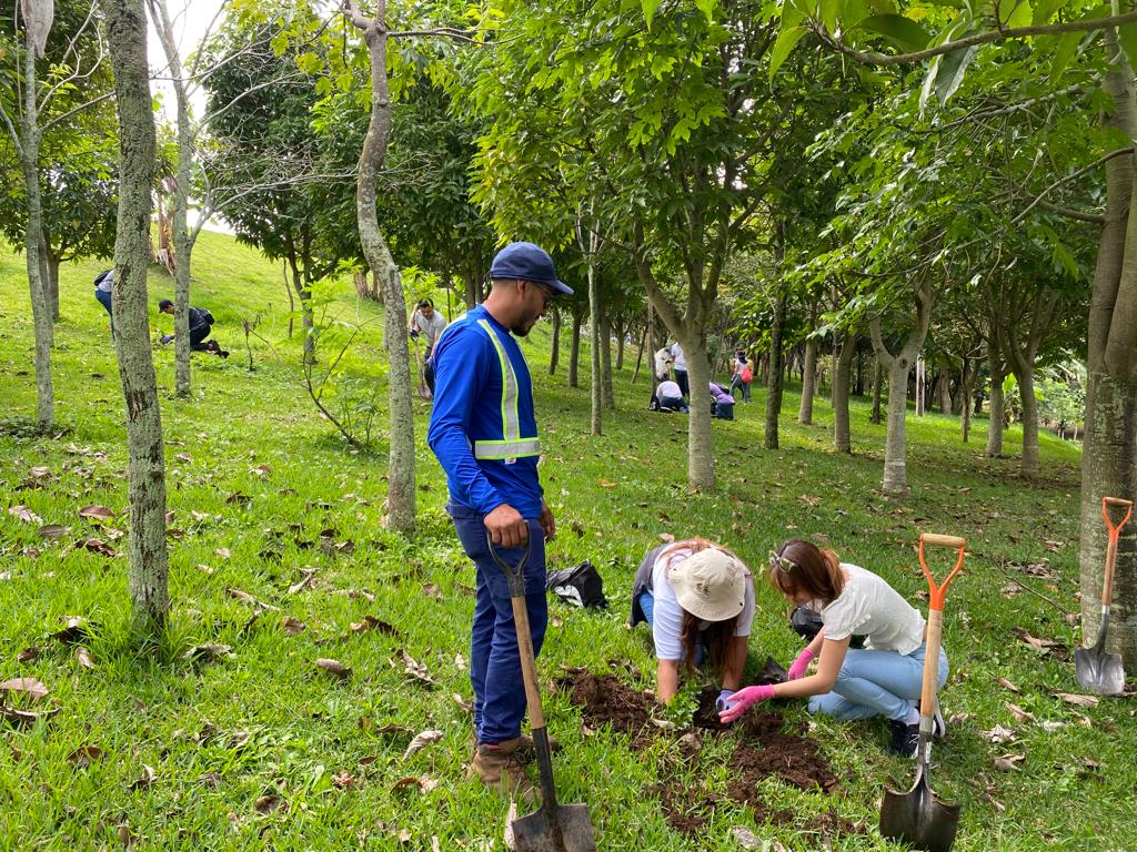 Voluntariado de siembra de árboles en AFZ
